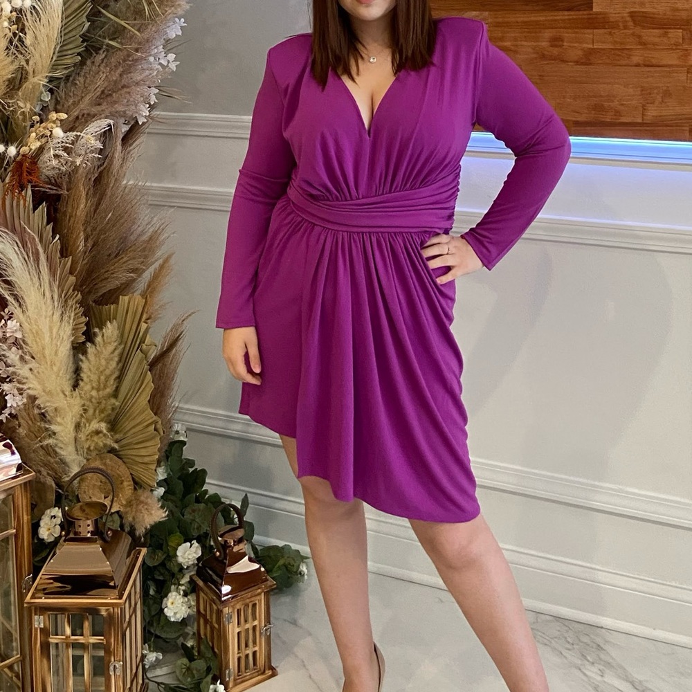 Express Purple Dress